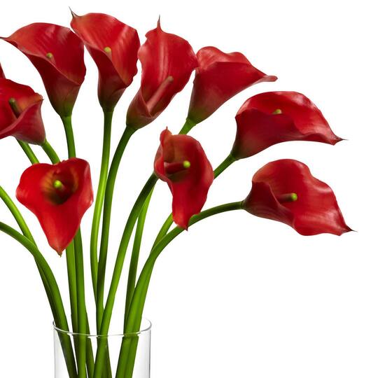 20" Mini Calla Lily Arrangement in Tall Vase, Red